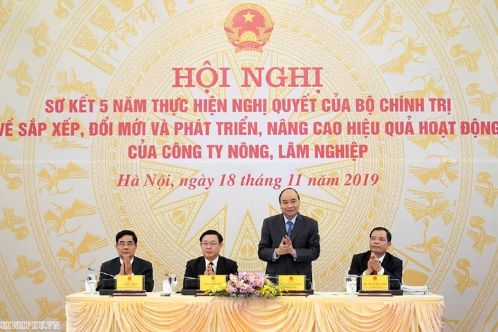 Hoàn thành việc sắp xếp các công ty nông lâm nghiệp trong năm 2020