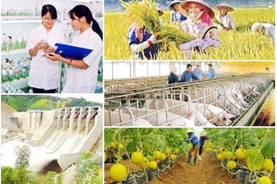Điều chỉnh, bổ sung kế hoạch thực hiện các chương trình mục tiêu quốc gia