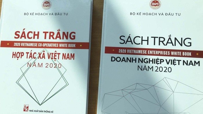 Công bố Sách Trắng Hợp tác xã Việt Nam 2020 và Sách Trắng Doanh nghiệp Việt Nam 2020
