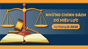 Những chính sách mới có hiệu lực từ tháng 6/2020
