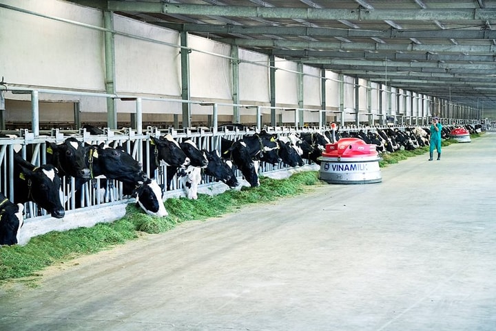 Top “50 công ty niêm yết tốt nhất Việt Nam năm 2020” tiếp tục gọi tên Vinamilk