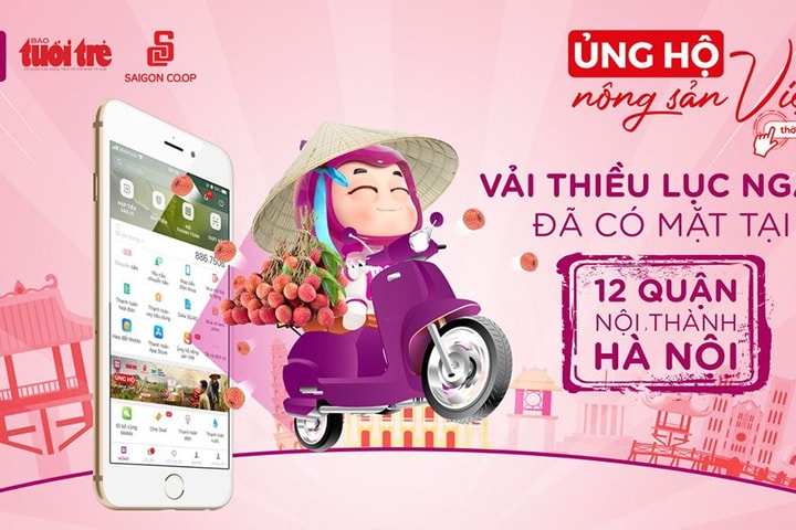 Đã có thể mua vải thiều qua Ví MoMo tại Hà Nội