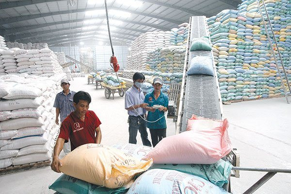 Thành lập Hội đồng thẩm định nhiệm vụ lập Quy hoạch hệ thống kho dự trữ quốc gia