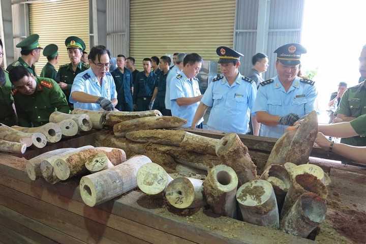 Lần theo dòng tiền từ buôn lậu động vật hoang dã