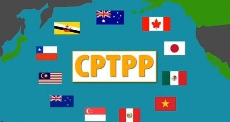 Hướng dẫn thực hiện đấu thầu mua sắm theo Hiệp định CPTTP