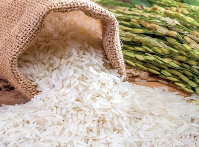 Nền Gạo Hình ảnh Sẵn có  Tải xuống Hình ảnh Ngay bây giờ  Gạo  Thực phẩm  chủ yếu Gạo basmati Hình vuông  iStock