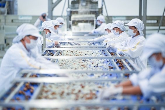 Chuỗi dự án xanh của Tập đoàn TH ‘tiếp sức’ vùng Tây Bắc