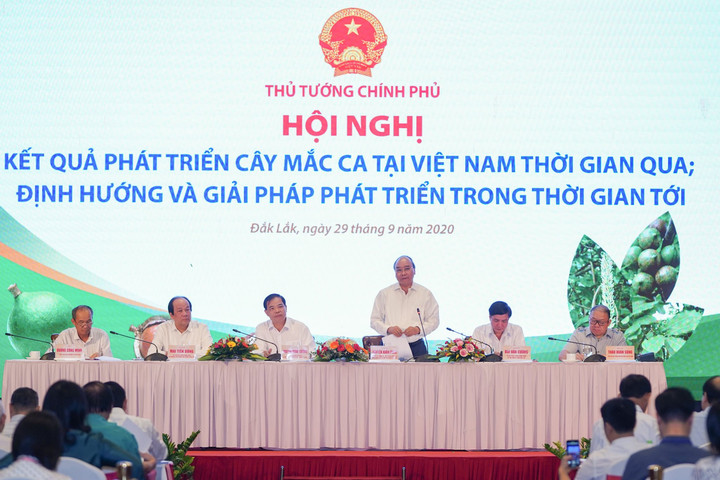Dành nguồn vốn hỗ trợ trồng mắc ca cho người dân 