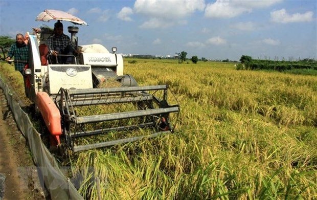8 nhiệm vụ bảo đảm an ninh lương thực quốc gia đến năm 2030