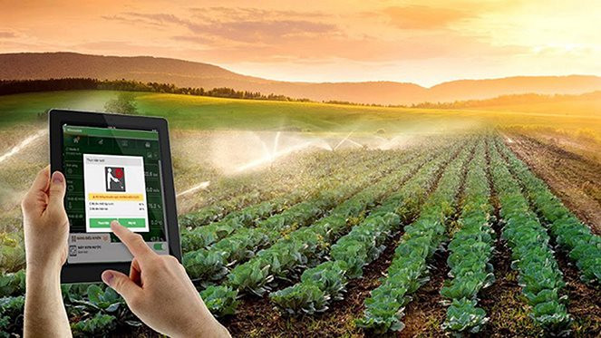 Tập trung tháo gỡ vướng mắc thúc đẩy sản xuất, tiêu thụ nông sản; chống khai thác hải sản bất hợp pháp