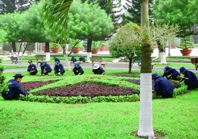 Môi trường Sonadezi: Doanh thu tăng trưởng nhưng biên lợi nhuận giảm mạnh