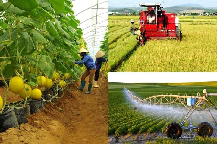 Ưu tiên vốn cho vay phục vụ phát triển nông nghiệp, nông thôn