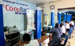 Phát triển Ngân hàng Hợp tác xã đủ năng lực, hiệu quả, bền vững để thực hiện tốt vai trò là ngân hàng của tất cả các quỹ tín dụng nhân dân