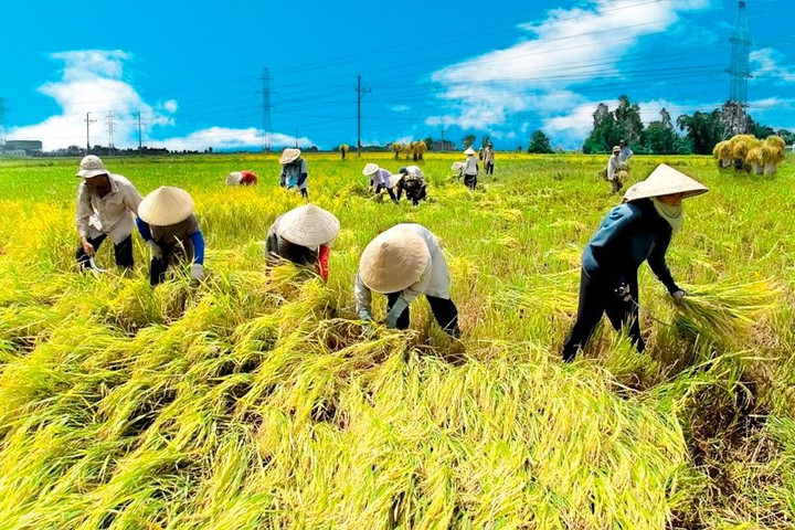 Kéo dài chính sách tín dụng ưu đãi xây dựng nông thôn mới