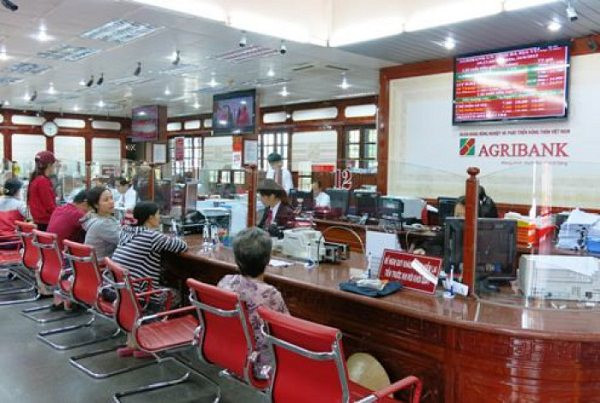 Dành trọn niềm tin yêu