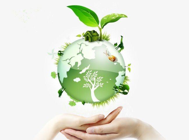 Sửa đổi và bổ sung một số mức phạt vi phạm về môi trường