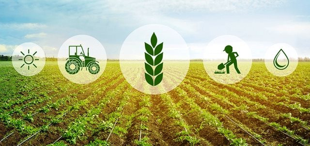Chuyển nông nghiệp sản lượng cao sang nông nghiệp công nghệ cao, sinh thái