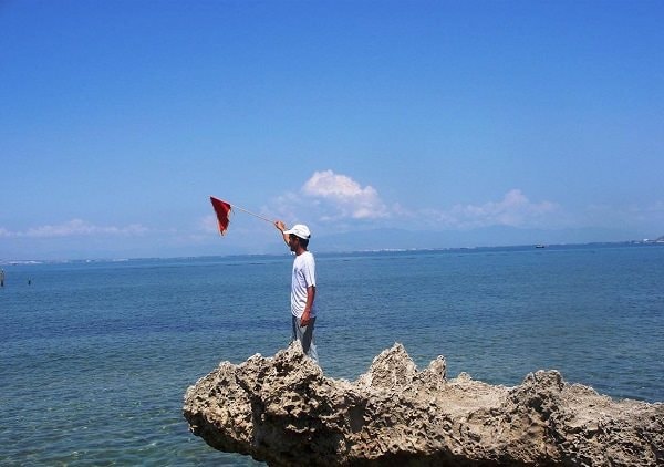 Những người giữ “lá phổi xanh” của biển