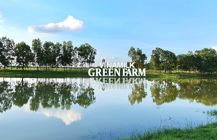 Quản trị doanh nghiệp tại Vinamilk và hành trình trở thành "tài sản đầu tư có giá trị của ASEAN"