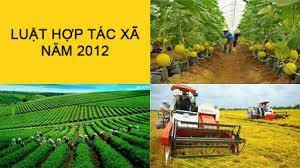 Kế hoạch tổng kết 10 năm thi hành Luật Hợp tác xã năm 2012