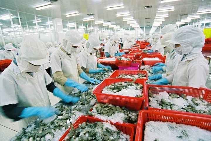 Phê duyệt Đề án phát triển ngành chế biến thủy sản giai đoạn 2021-2030