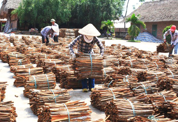 Chính phủ ban hành Nghị quyết hỗ trợ doanh nghiệp, HTX, hộ kinh doanh trong bối cảnh dịch COVID-19