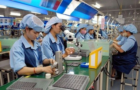 Quỹ Bảo lãnh cho vay cần có quy mô tương xứng đáp ứng yêu cầu phục hồi của nền kinh tế