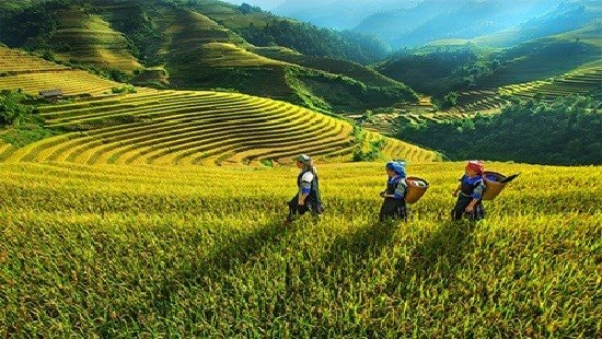 10 dự án trọng tâm Chương trình mục tiêu quốc gia phát triển kinh tế - xã hội vùng đồng bào dân tộc thiểu số và miền núi giai đoạn I: 2021-2025
