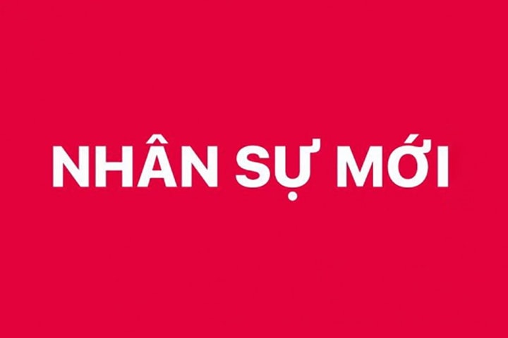 Bổ nhiệm 3 Trợ lý Thủ tướng, Phó Thủ tướng Chính phủ