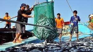 Công điện của Thủ tướng về tập trung thực hiện tháng cao điểm chống khai thác hải sản bất hợp pháp, không báo cáo, không theo quy định và phát triển bền vững ngành thủy sản