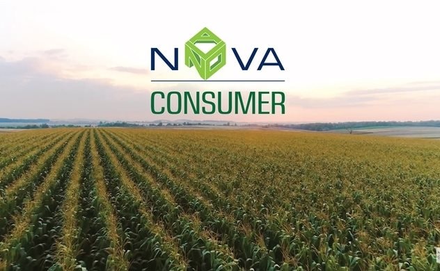Thêm một trụ cột của NovaGroup chuẩn bị lên sàn