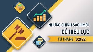 Một số chính sách mới của Chính phủ có hiệu lực từ tháng 3/2022
