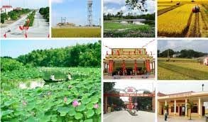 Ban hành Bộ tiêu chí quốc gia về huyện nông thôn mới, thị xã hoàn thành nhiệm vụ xây dựng nông thôn mới giai đoạn 2021 – 2025
