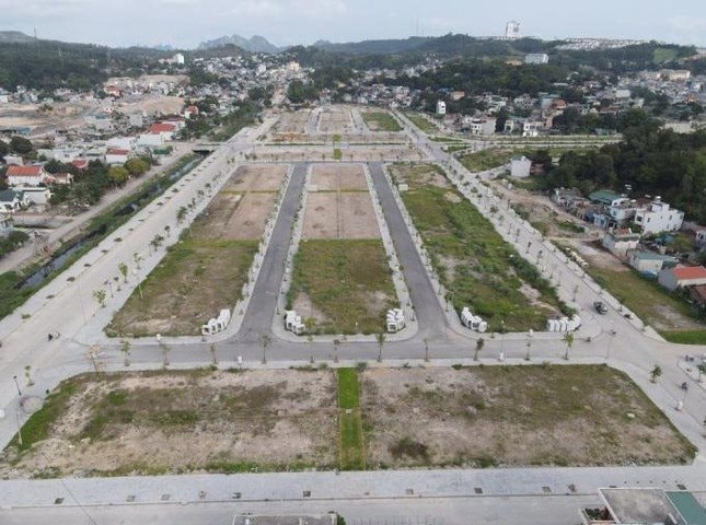 Làm rõ thông tin Sealand Việt Nam 'bán chui' đất nền khu đô thị Lideco Bãi Muối