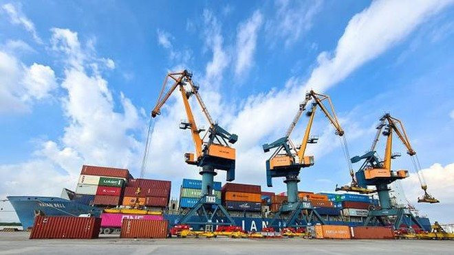 Vận tải và Xếp dỡ Hải An (HAH) dự kiến trả cổ tức 50%