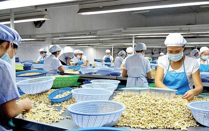 Đề nghị cơ quan chức năng Italy làm rõ vụ 100 container hạt điều