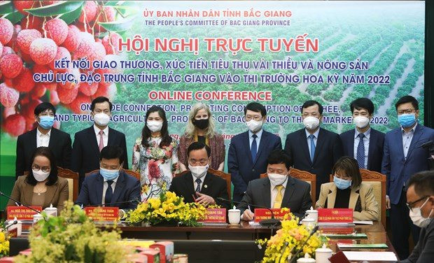 Tỉnh Bắc Giang đẩy mạnh xuất khẩu vải thiều sang Mỹ