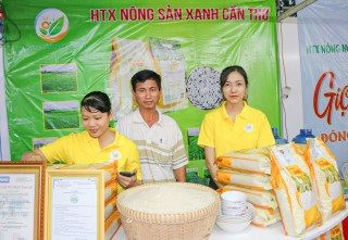 Ngành Ngân hàng TP. Cần Thơ đồng hành hỗ trợ nguồn lực về vốn cho hợp tác xã