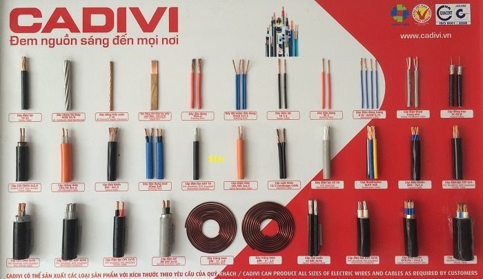 Năm 2021, Cadivi (CAV) trả cổ tức tỷ lệ 50%