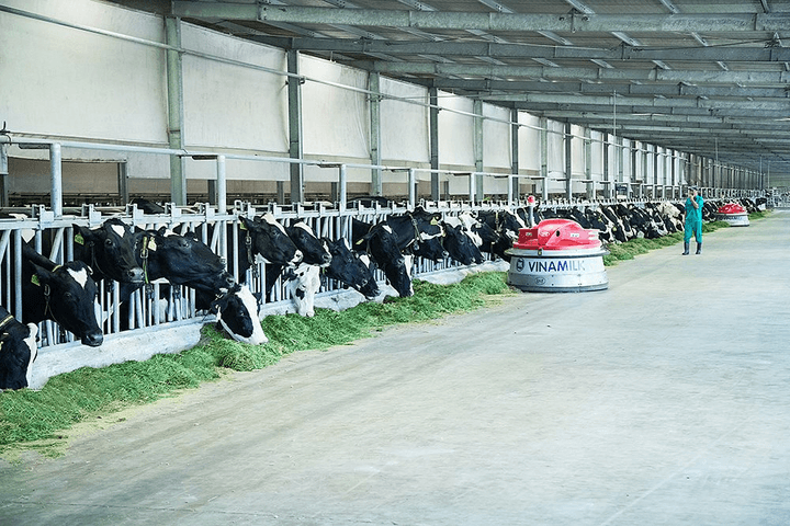 Vinamilk: Doanh thu tiếp tục đà tăng trưởng, tỷ lệ chi trả cổ tức bằng tiền năm 2022 duy trì ở mức cao