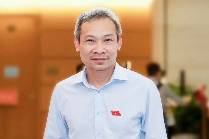 ĐBQH Phan Đức Hiếu: Cần rà soát, hoàn thiện quy định về nhà đầu tư chứng khoán chuyên nghiệp