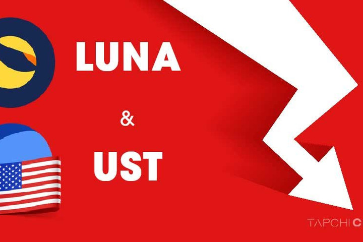 Đôi điều cần biết về sự sụp đổ của tiền mã hóa Luna và Terra