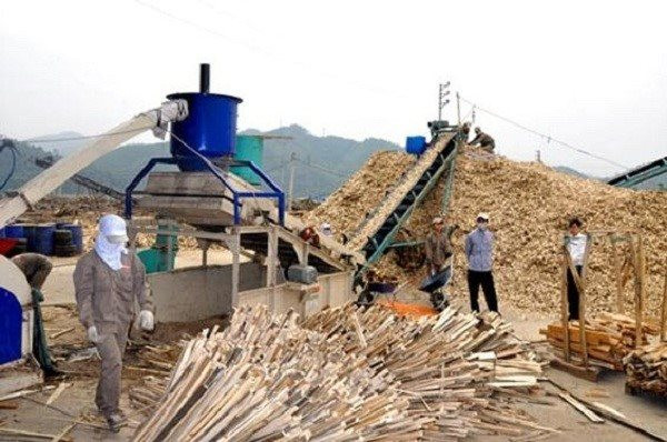 Thương mại gỗ Việt Nam - Trung Quốc: Hướng tới xây dựng thương mại ngành gỗ có trách nhiệm