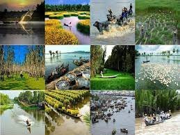 Một số nhiệm vụ thúc đẩy phát triển nông nghiệp và nông thôn bền vững vùng ĐBSCL, chủ động thích ứng biến đổi khí hậu