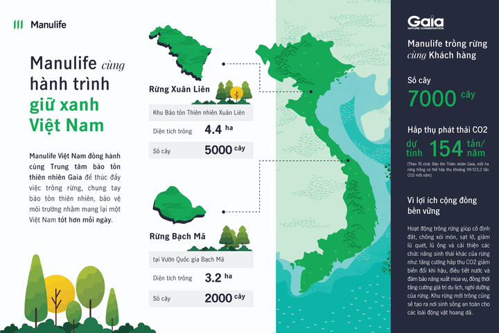 Manulife Việt Nam cùng khách hàng trồng rừng, hướng tới một tương lai bền vững