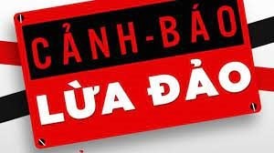 Lĩnh án chung thân vì lừa đảo hơn 160 tỷ đồng thông qua thủ đoạn góp vốn kinh doanh gạo