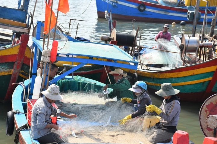 Nghiên cứu hỗ trợ ngư dân ảnh hưởng do giá xăng, dầu