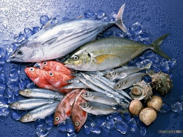 Phê duyệt Đề án bảo vệ môi trường trong hoạt động thủy sản giai đoạn 2021 – 2030