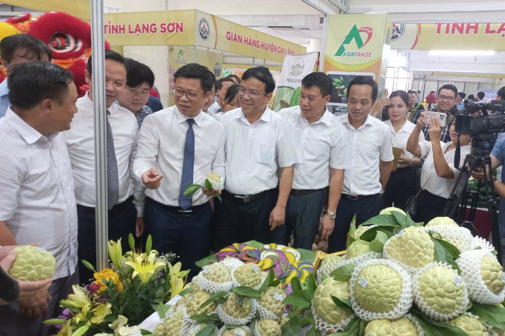  Khai mạc Tuần lễ quảng bá Na, nông đặc sản tỉnh Lạng Sơn năm 2022