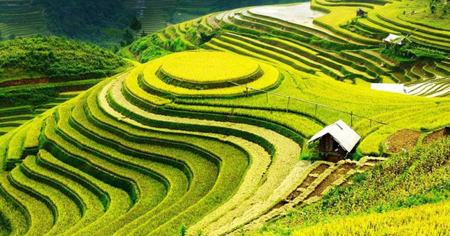 Quy chế hoạt động của Hội đồng điều phối vùng trung du và miền núi phía Bắc